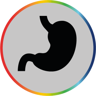 icone PSM_système digestif